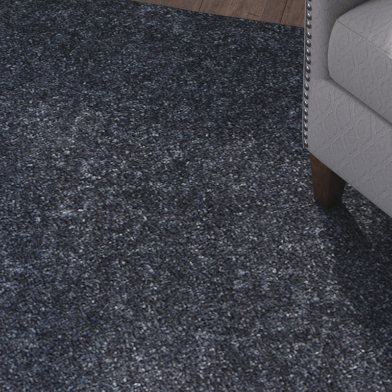 Bertjan Shag Performance Solid Color Rug, Rectangle 3' x 5'