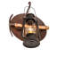 1 - Light Armed Sconce