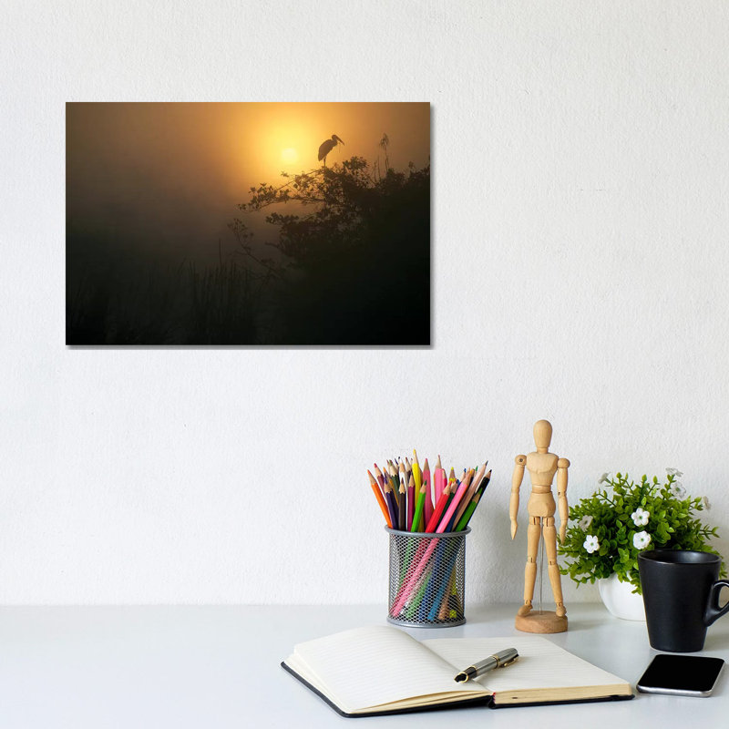 Wood Stork Perched In Tree, Everglades National Park, Florida by Tim Fitzharris - Wrapped Canvas Print
