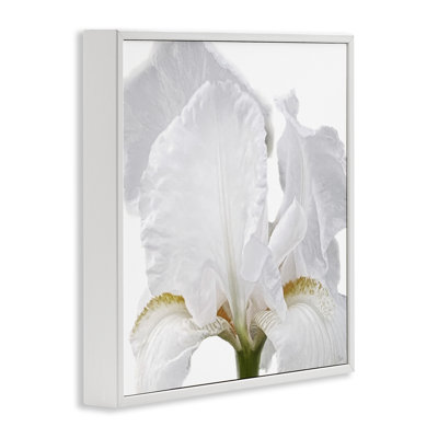 White Iris Close Up  Framed Giclee Art, design by Nan