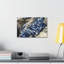 «Scallop Group Scallop Troop Print», art mural