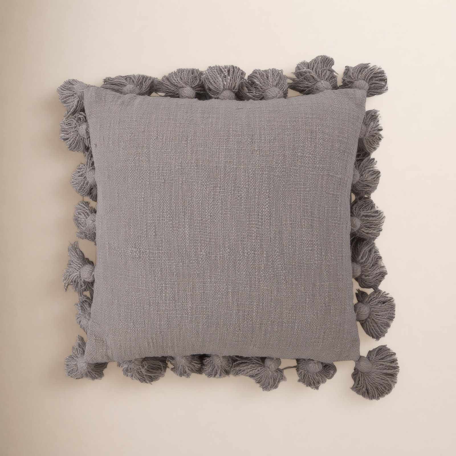 Astraeus 18" x 18" Cotton Throw Pillow, Gray