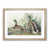 Oak Framed