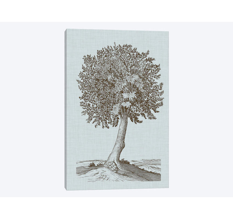 «Antique Tree in Sepia I», impression sur toile, H 40 po x l 26 po x P 1,5 po, Toile tendue, Pas de tapis