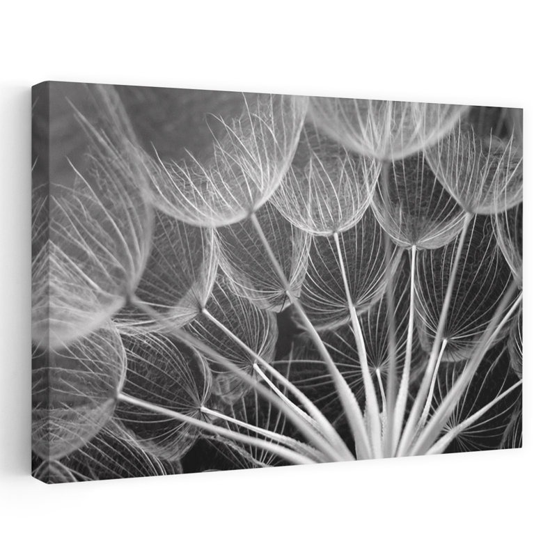 Goat's Beard III, délicat éthéré, pissenlit contemporain, H 16 po x l 24 po
