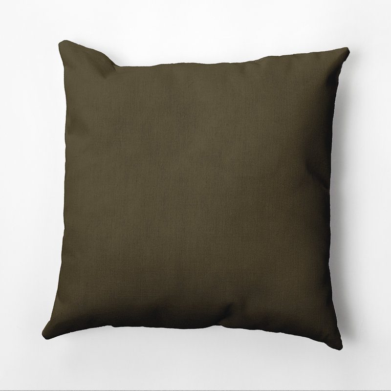 Housse de coussin Ajibola, Hêtre, 20 po x 20 po, Polyester/ bourre en polyester