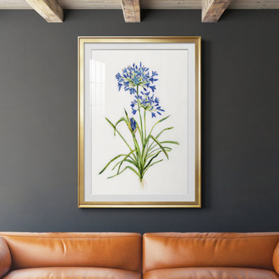 Blue Lived Botanical I - Cadre photo, reproduction d'art sur papier