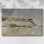 Vintage Nauticals-LXIV -Galery Wraraped Cavas
