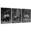 Ours noir et blanc, forêt, loup, cerf, faune, ensemble de 3 impressions sur toile-1781838169