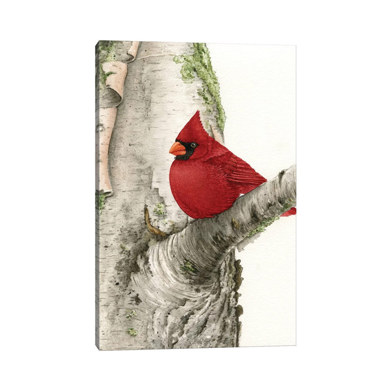Cardinal In Birch Tree by Tracy Lizotte - Wrapped Canvas Painting, 20.32 cm H x 30.48 cm W