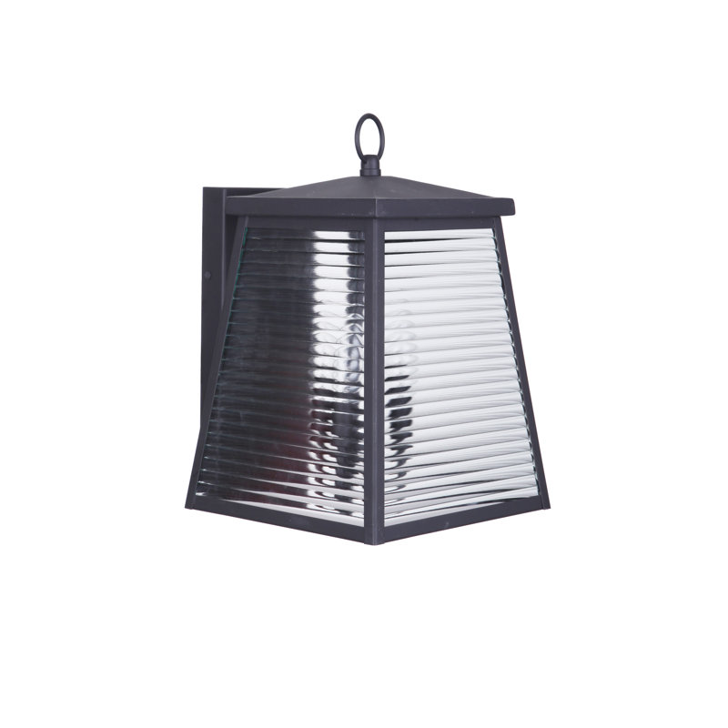 Lylafaye Steel Wall Light, 13.25" H x 8.25" W x 9.69" D