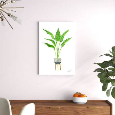 Green House Plants III