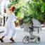Foldable Pet Stroller-94343645