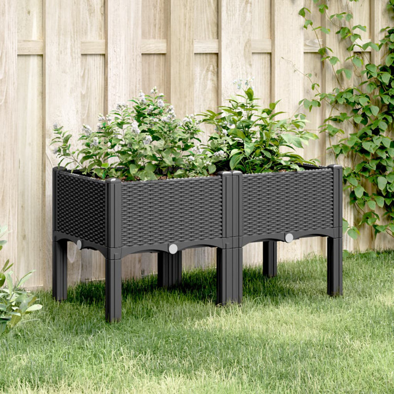 Ostin Planter Box, Black