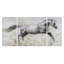 Gallop-multi-pièces sur toile tendue-38255338