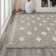 Kaleya Berber Geometric Shag Gray/Ivory Rug