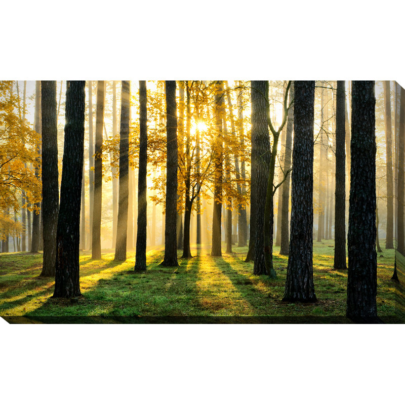 " Many Paths ", 24" H x 40" W x 1" D