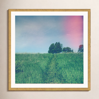 Summer Solstice by Olivia St Claire