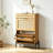 Freestanding Shoe Rack Cabinet With Flip Doors & Drawers-1501550422-1492649940