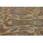 Traditional Area Rug 6x9