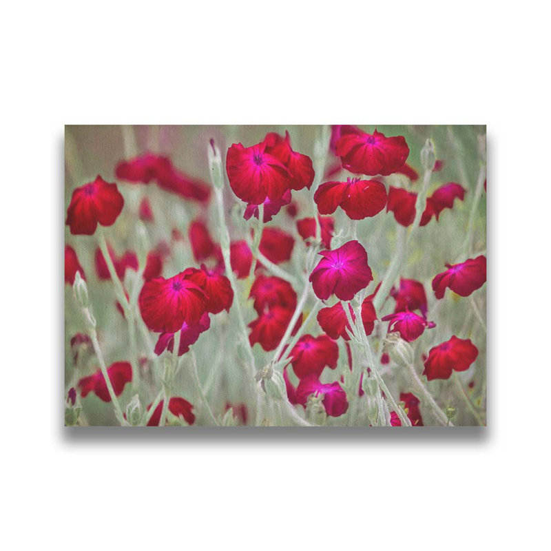 Memories of Provence par Hal Halli. Impression sur papier - Montée et encadrée, H 34 po x l 44 po
