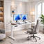Height Adjustable Sit Stand Desk White Electric Memory Control Desk with Cable Holes for Office Gaming
