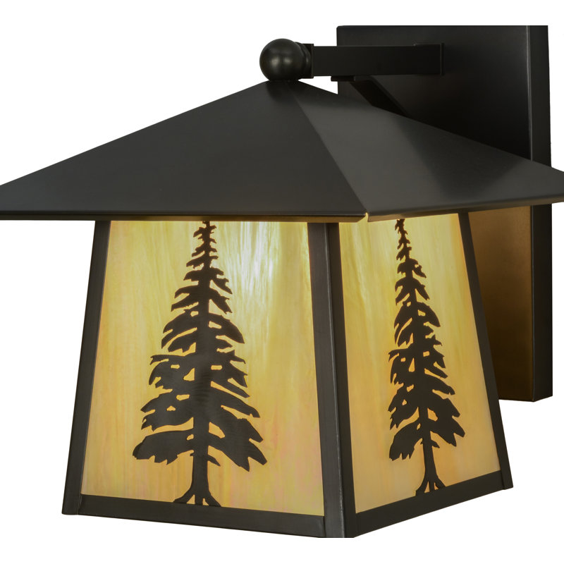 Rustic Lodge Solid Brass Wall Light