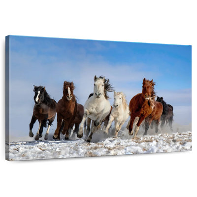 Brampt, chevaux de Mongolie