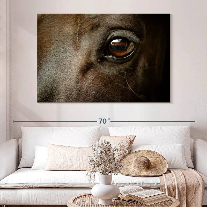 Brampt œil de cheval noir