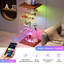 Display Cabinet-1665128141