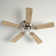Brandee 42'' Ceiling Fan with Light Kit