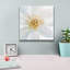 «Contemporary Clematis Gray» par Danhui Nai, art mural sur toile-1018286225