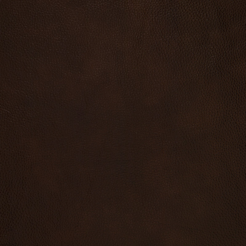 Ensemble de salon traditionnel 2 pièces avec revêtement 100% cuir fleur, garniture cloutée élégante et ressorts ensachés en mousse