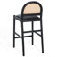 Laylie Rattan And Leather Counter Stool-1908221453