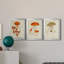 «Mushroom Variétés IV», reproduction encadrée de qualité supérieure - prête à être accrochée-1015935026-1015935021-1015887996