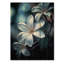 Fleurs de plumeria exotiques blanches et blanches sur bois-1364217686
