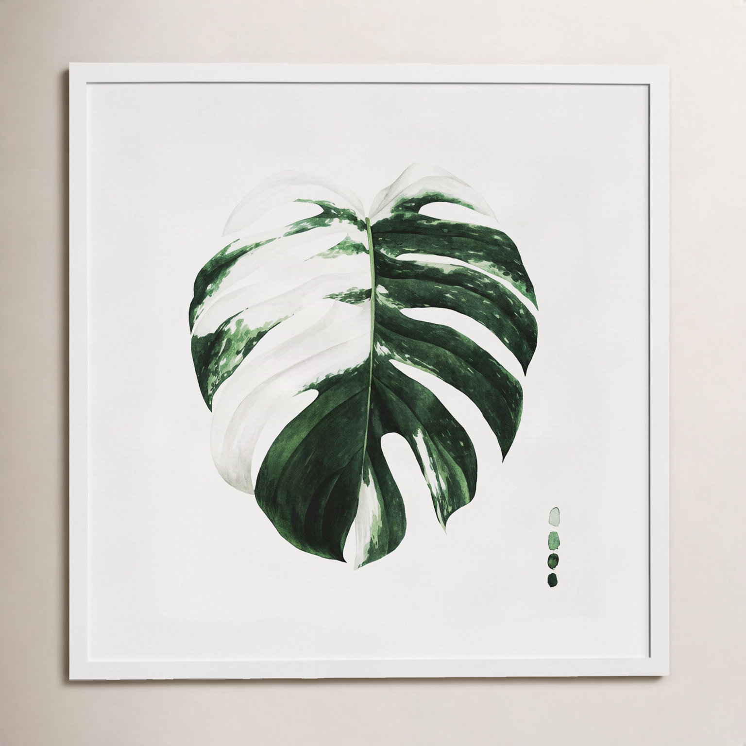 Variegated Monstera II Print by Grace Popp, White Framed Paper, 19.38" H x 19.38" W x 0.88" D