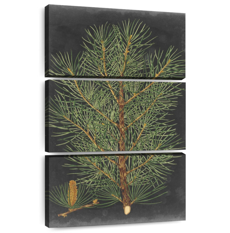 Harnek Dramatic Pine II, 32" H x 20" W