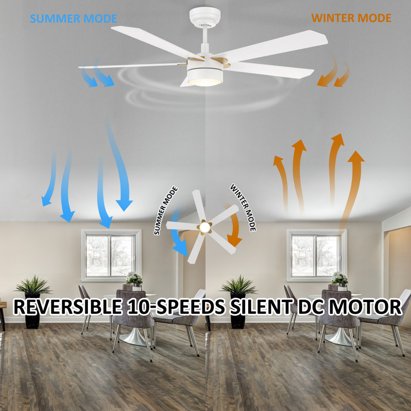 Amonni 52'' Ceiling Fan with LED Lights, White