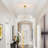 Modern Flower Glass Gold Chandelier-156439707-156439686