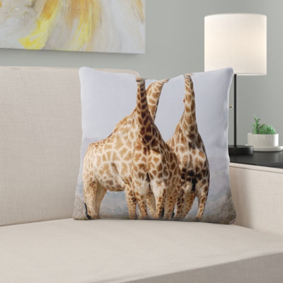 Coussin sud afrique south