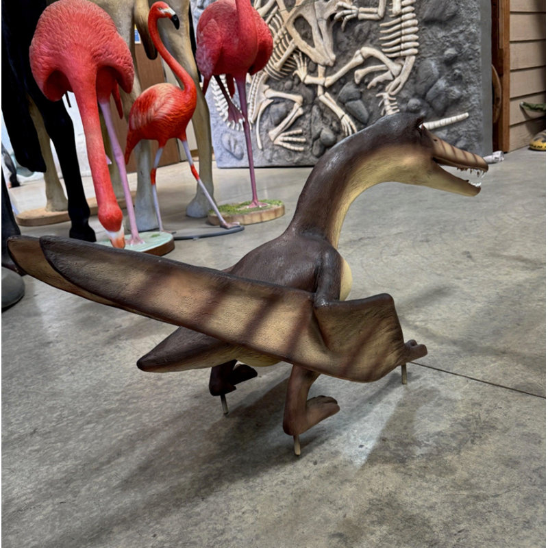 Statue de bébé dinosaure Cearadactylus