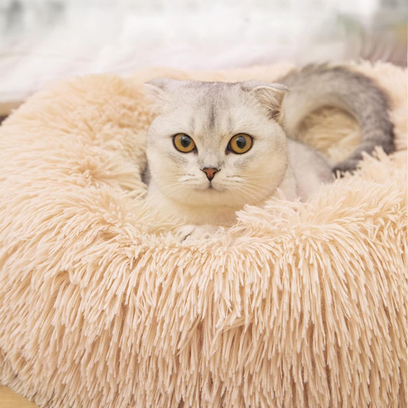 Lit rond pour chat Dequarius, L 24 po x P 24 po x H 7 po, Abricot
