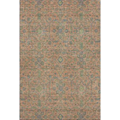 Premium Machine Washable Ducote AMF1131 Global Rug