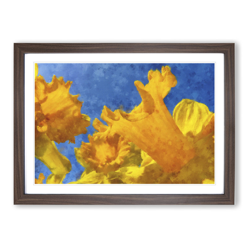 Yellow Daffodils - Picture Frame Graphic Art, 36cm H x 48cm W x 2cm D, Walnut Framed
