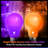 Light Bulbs-1736961249