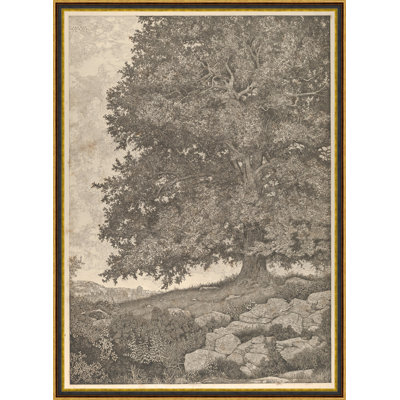Grandfathers Tree Print