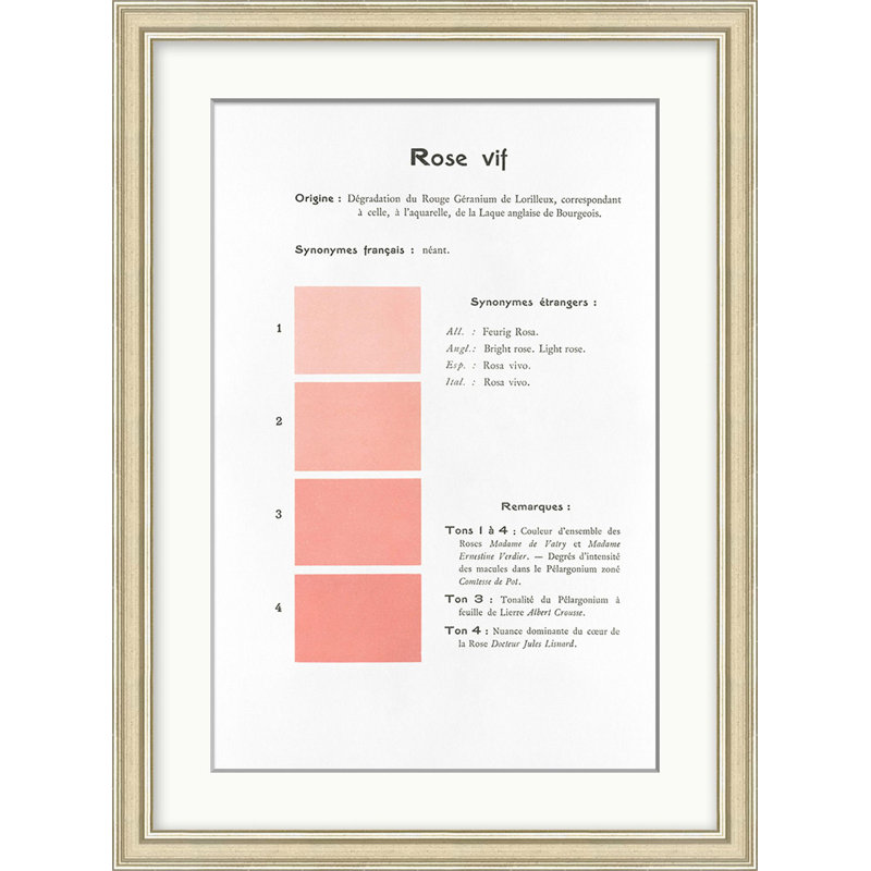 Pink " Pink 1 " by Danielle Rollins