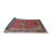 Oriental Indoor Rug-1556082229