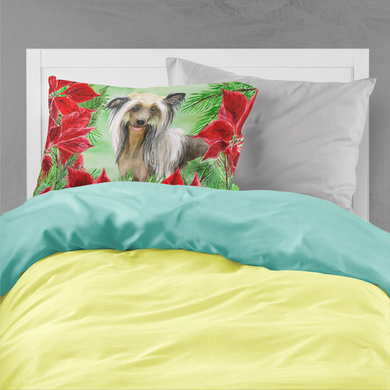 Microfiber, Chinese Crested